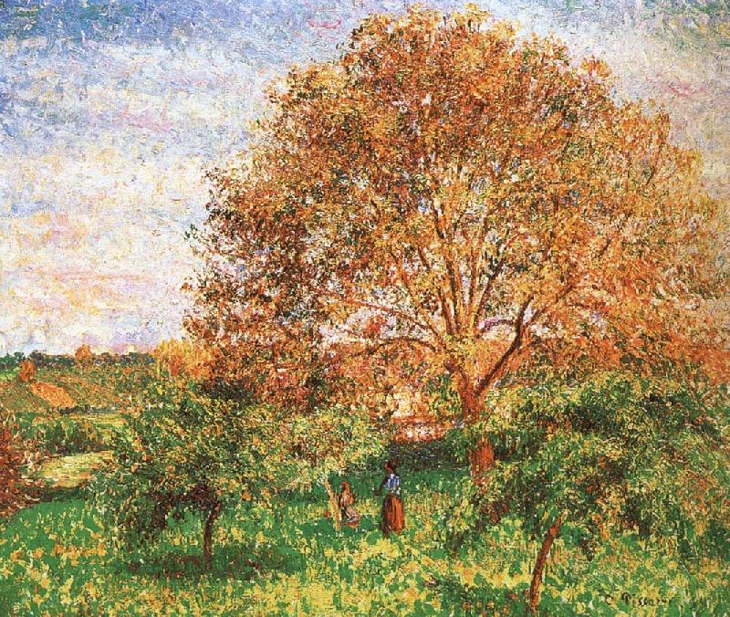 Red sky under the apple tree, Camille Pissarro